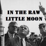 In The Raw - little moon