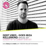 Deep Vibes - Guest Kellerkind - 15.06.2014