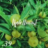 DJ MoCity - #motellacast E39 - 27-01-2016
