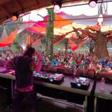 Psionic Entity @ OZORA Festival 2014
