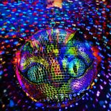 Psychodelidisco (Disco Psycheness) Part 1