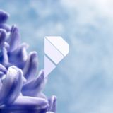 Hyazinthe