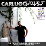 CARLUGO presents WAVES (volume 7) - The Finest Lounge Music Show