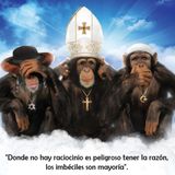 Se Vienen Los Monos !!!! Y Ya Están Aquí !!!