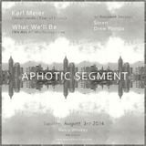 Live @ Aphotic Segment, Detroit, 8/2014