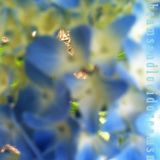 sunbeamsandluciddreamsmix
