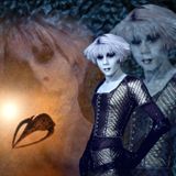 Starburst pt.III - The final Starburst (mixed by Naturd 2016)