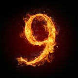 Cosmic Cowgirl Report - 2016 Numerology