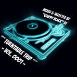 °°° Turntable Trip - Vol. ooo1 ( GIUPPY BLACK dj ) °°°