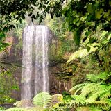DJ O.live.R - La Jungla Mix