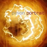 Pinoir | 12#2 | Portrait 2012 (Part C: Liquid)