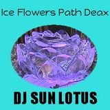 Ice Flowers Path 2