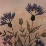 cornflower blue (a mixtape for october) (2013)