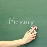 Poplie 2 - The Memory Loss Show