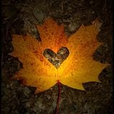 Pierre Roos - Autumn Mix 2015