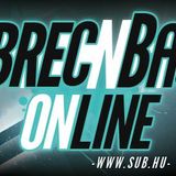 Debrec'N'Bass_onLINE_28012015_flag