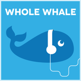 Episode 7: Big Data for Big Impact, interview with Sumall.org