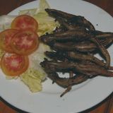 Curly Bob - Lizzards For Breakfast