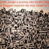 dL's Concrete Jungle a Mix of Soulful Reggae and Reggae Inspred Hip Hop