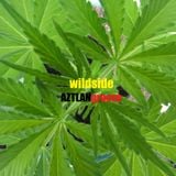 Wildside