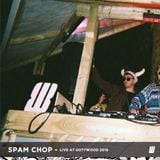 Spam Chop - Live at Gottwood 2015