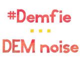 #DEMFIE- DEM noise