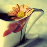 Câu chuyện về ly cafe muối