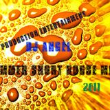 SUMMER SHORT HOUSE MIX,2011