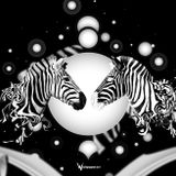 Mihai Sterea - Blank & Black (deep house August 2012)