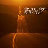 DigRealDeep_series_1312