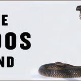 Tribute to The Budos Band