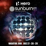 Markus Schulz - Live @ Sunburn Festival (India) 2013.12.28.