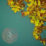 Simple Sounds, vol. 3