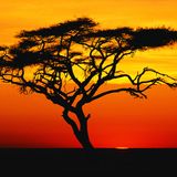 Partners In Soul Guest Mix - Deep/Soulful/Afro House Mix (September 2011)