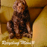 Recycling_Menü #funny_räzzle