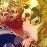 Michael Dog - Planet Dogmix show on Interface Radio 13/3/98