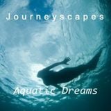 PGM 002: Aquatic Dreams
