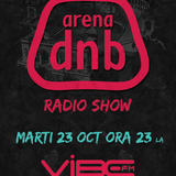 Arena dnb radio show - Vibe fm - mixed by INFLEX - 23-oct-2012