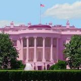 THE RIGHT TURD IN THE WHITE HOUSE: A Quiveringbrain radio show podcast