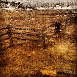 Boxwood - Mix #10 (March 2012)