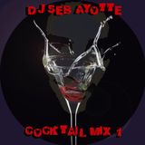 DJ SEB AYOTTE - COCKTAIL MIX 1