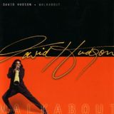Interview: David Hudson