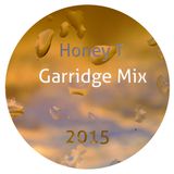 Garridge Mix 2015