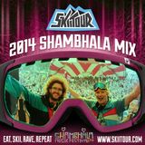 2014 Shambhala Mix