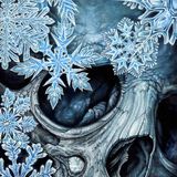 Winter Frost