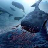 deep ocean 1 (progressive / minimal)
