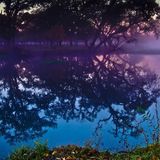 Pavel Costaneto – Green Time. # 2