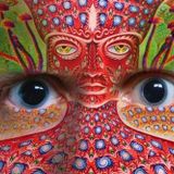 Goa disco freaks