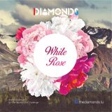 White Rose
