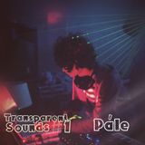Transparent.Sounds#1 with Pále